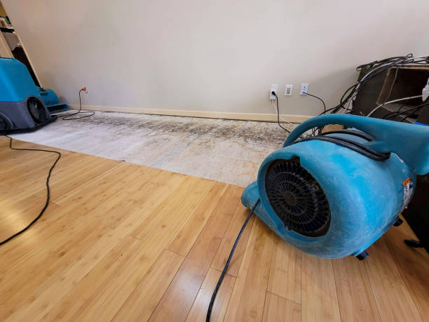 Professional Water Extraction technician working in Chowchilla, CA